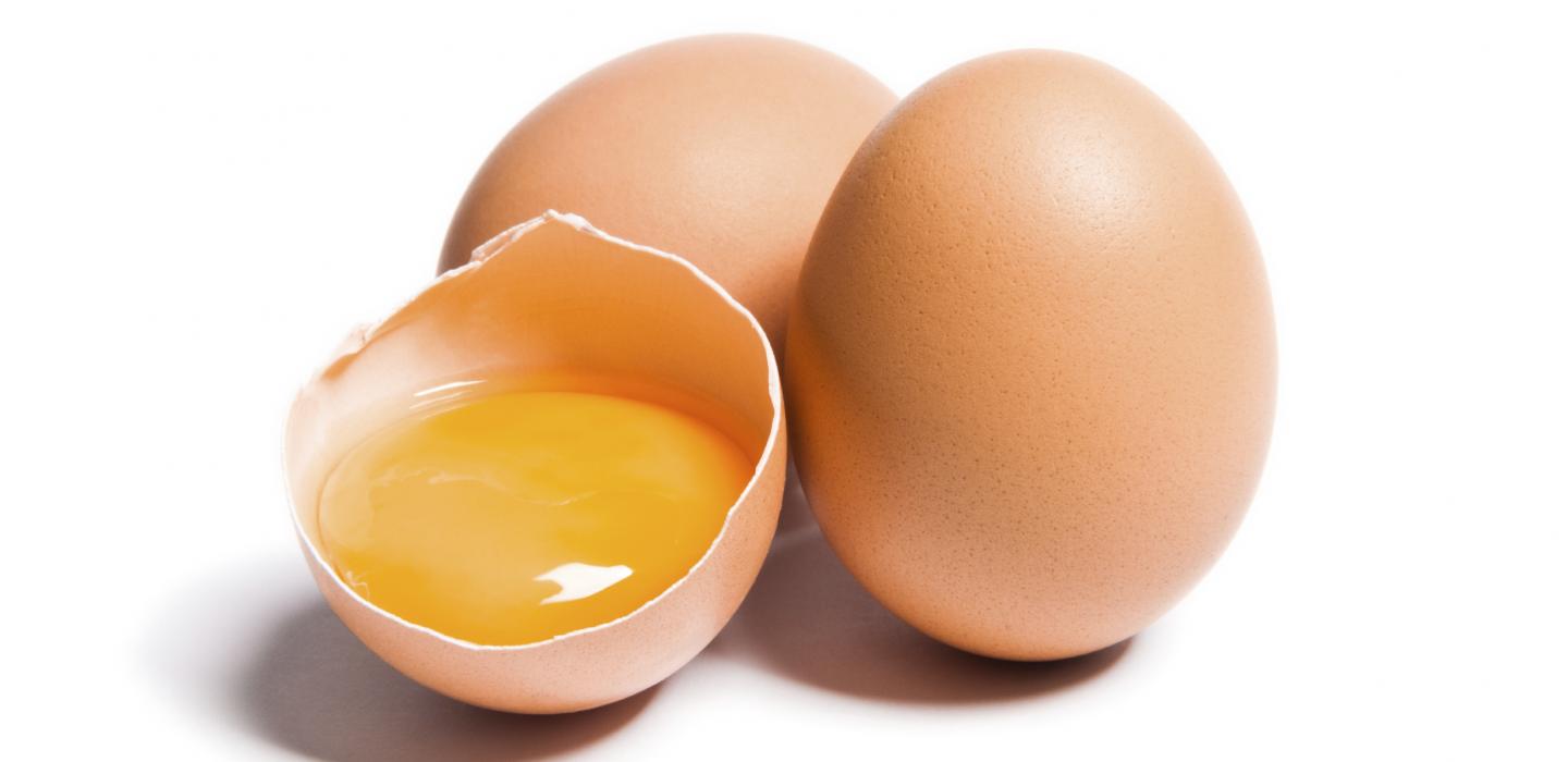 Eggs